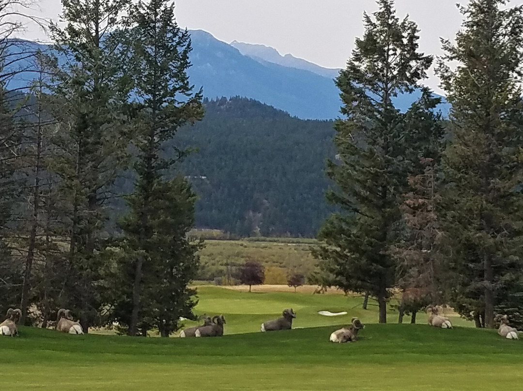 Bighorn Meadows Resort主图