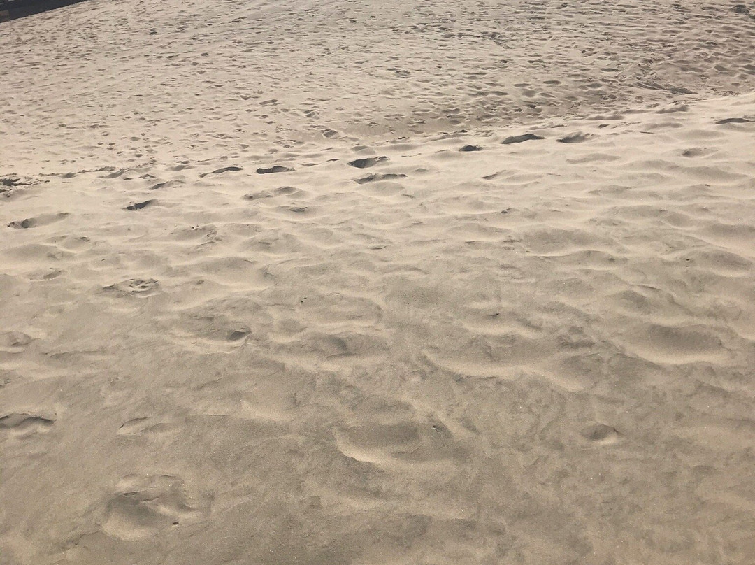 John Dellenback Dunes Trail-弗洛伦斯必去景点