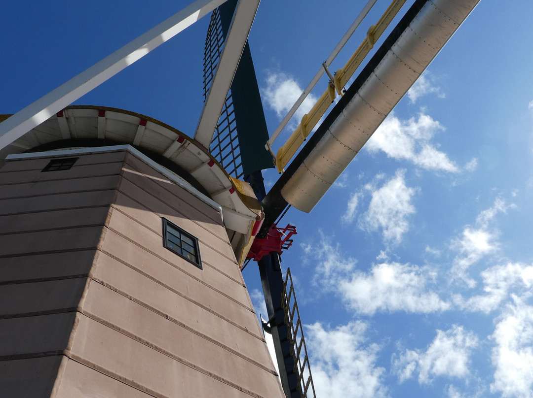 De Molen, Windmill景点图片