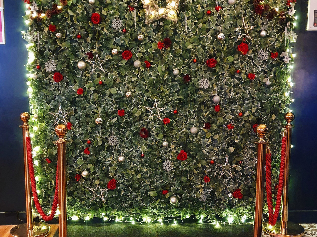 Cinema Bar-圣海伦斯必去景点