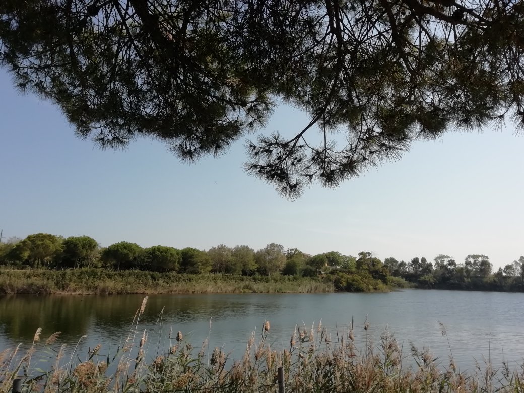 A Casa di Pici B&B-官方