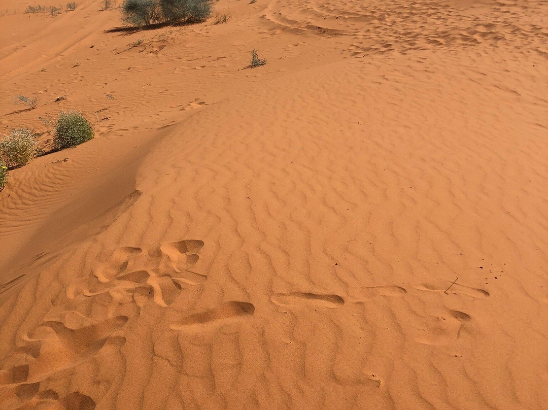 Big Red Sand Dune-Birdsville必去景点