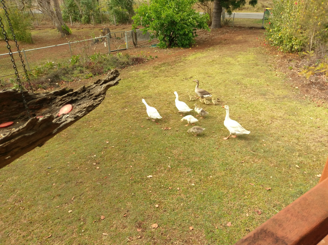 湖袋食宿酒店主图