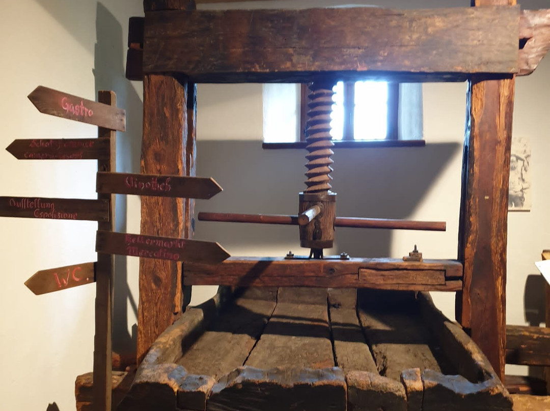 Castello Rametz - Wine Museum景点图片
