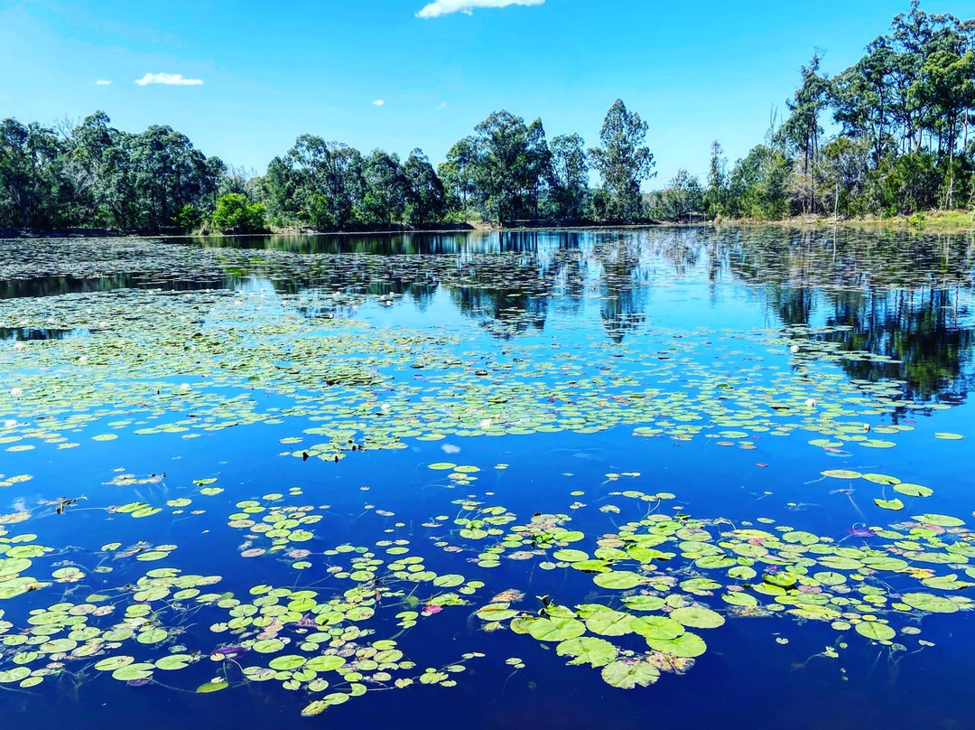 Abundance Lifestyle & Garden-Sancrox必去景点