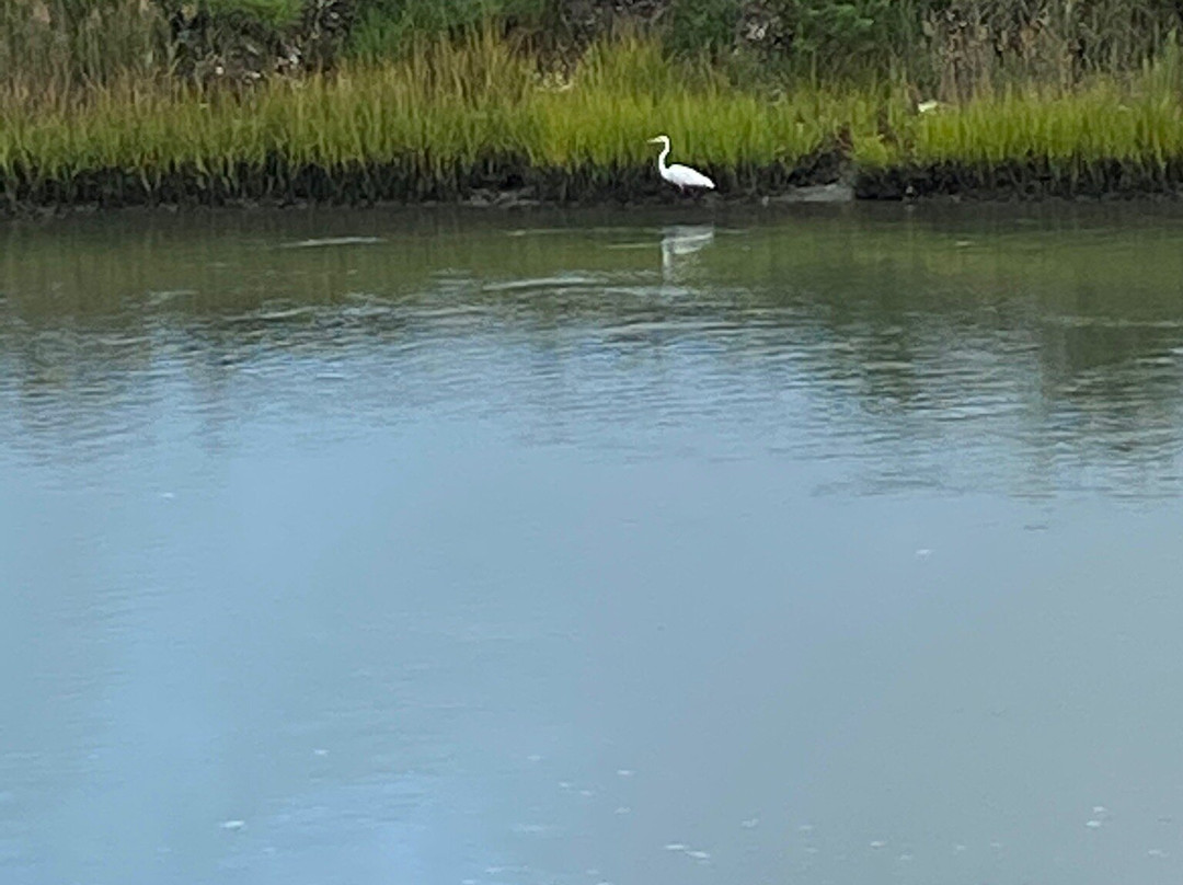 Island Motor Inn Resort主图