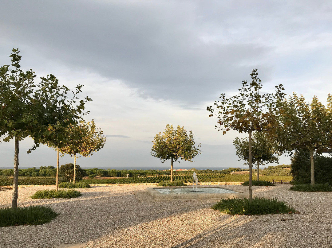 Chateau Valmy主图
