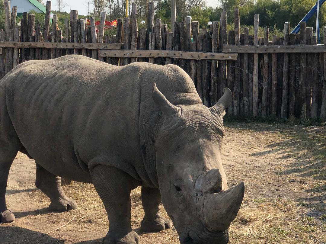 Starooskolsky Zoo-Stary Oskol必去景点