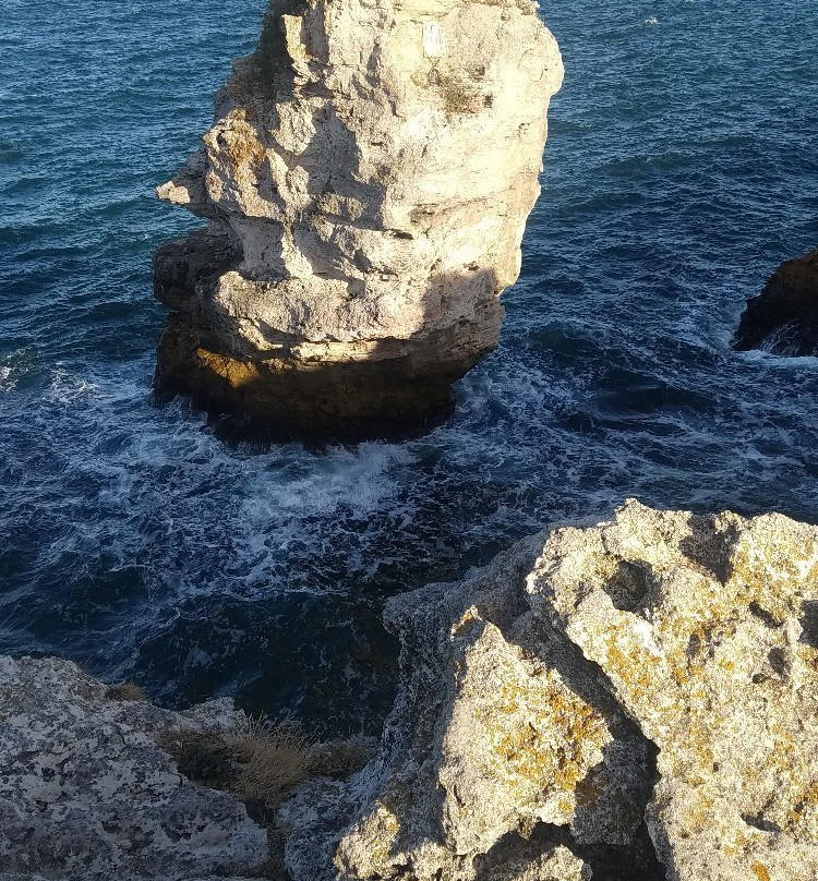 Tyulenovo Rocks-Tyulenovo必去景点