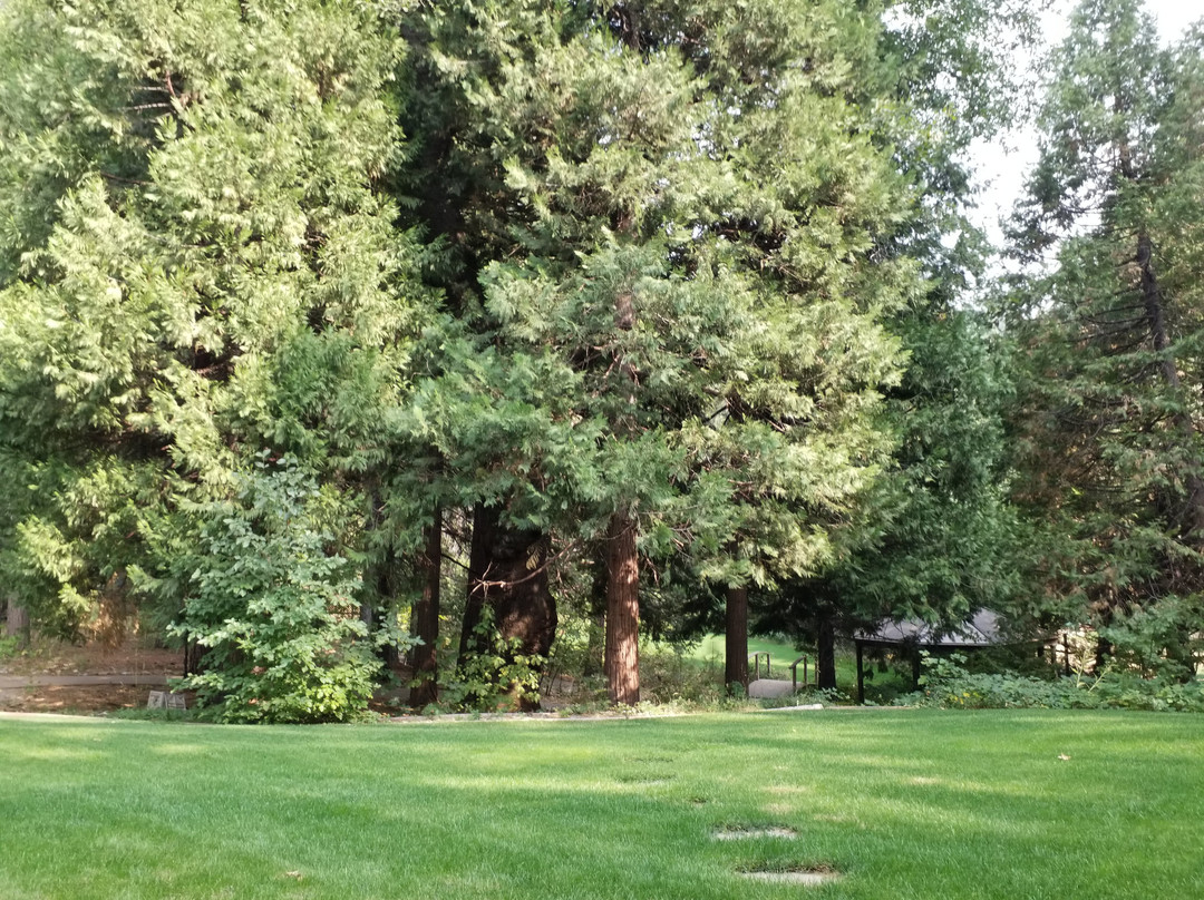 Arnold Black Bear Inn主图