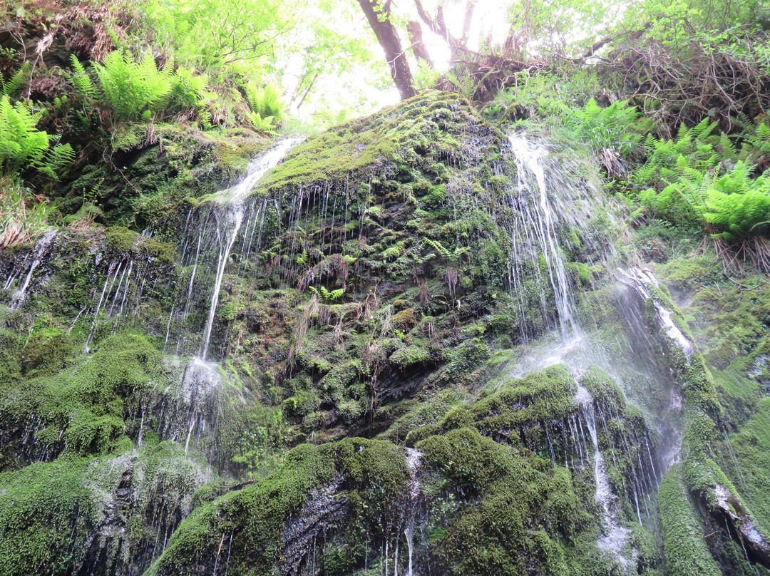 Dhoon Glen
