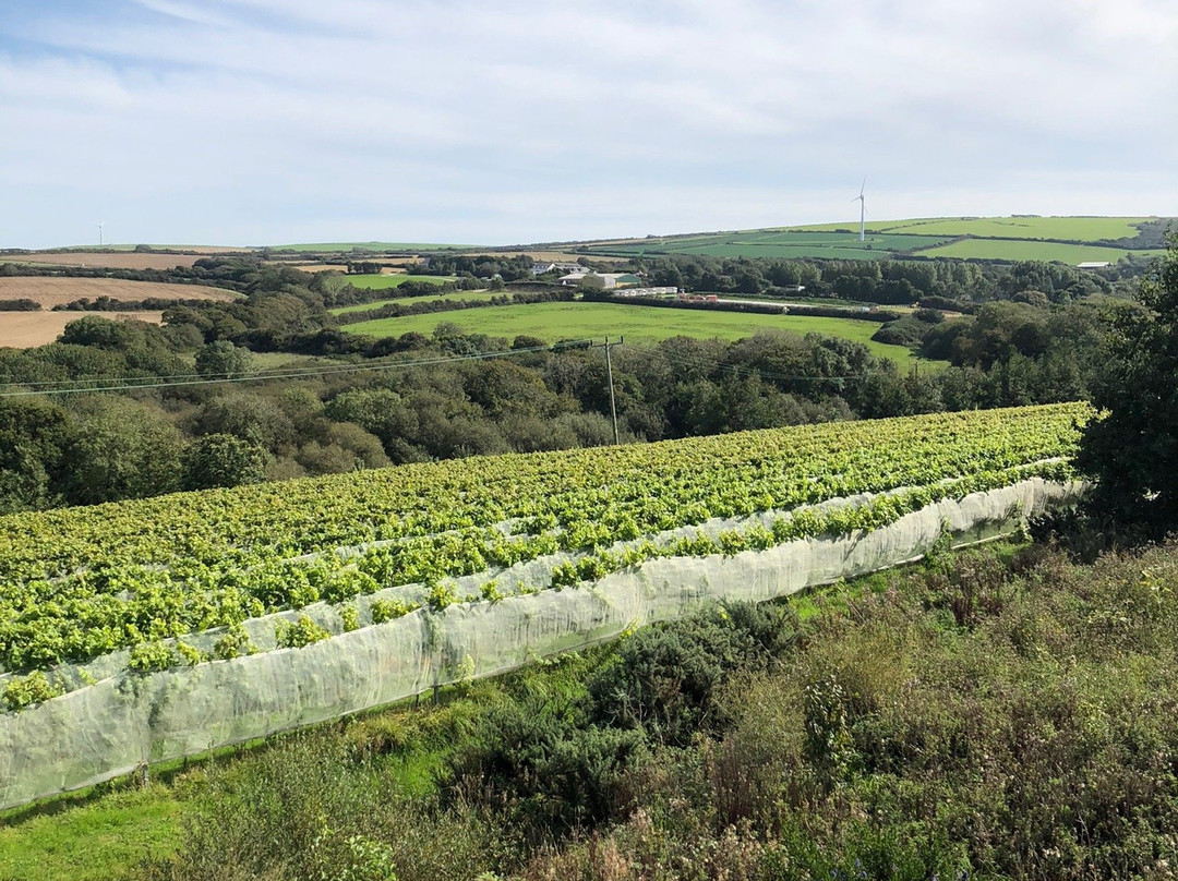 Trevibban Mill Vineyard & Orchard景点图片