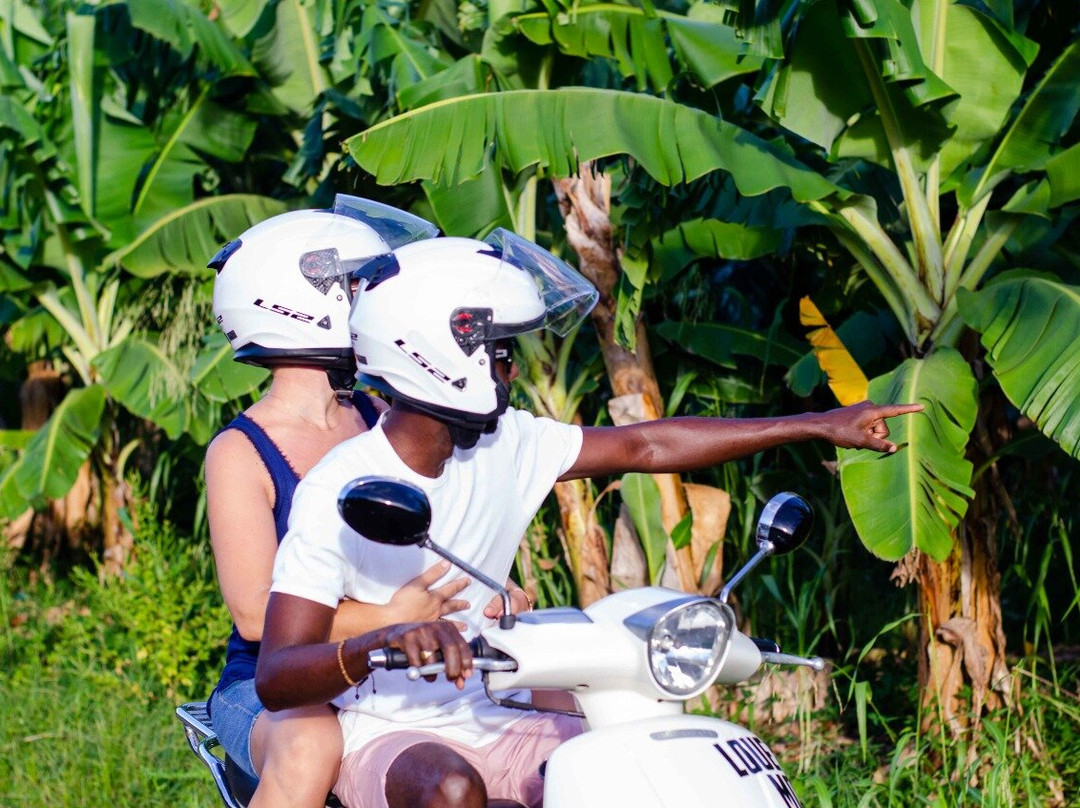 Scooter Évasion-Le Francois必去景点