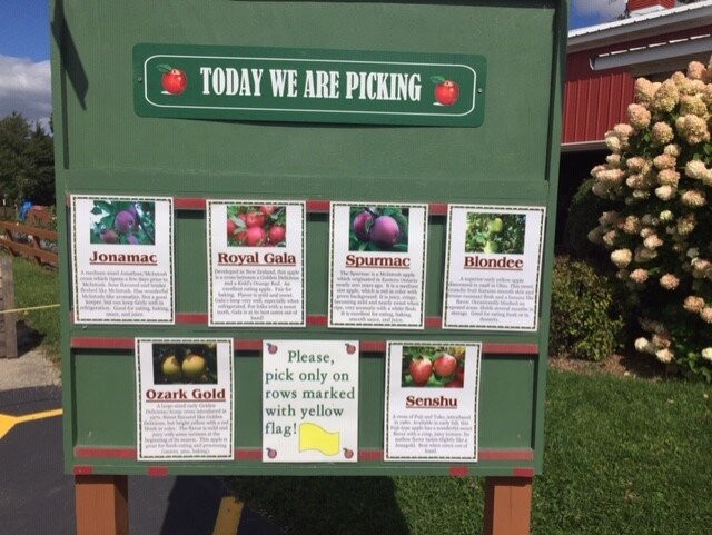 Royal Oak Farm Orchard-Harvard必去景点