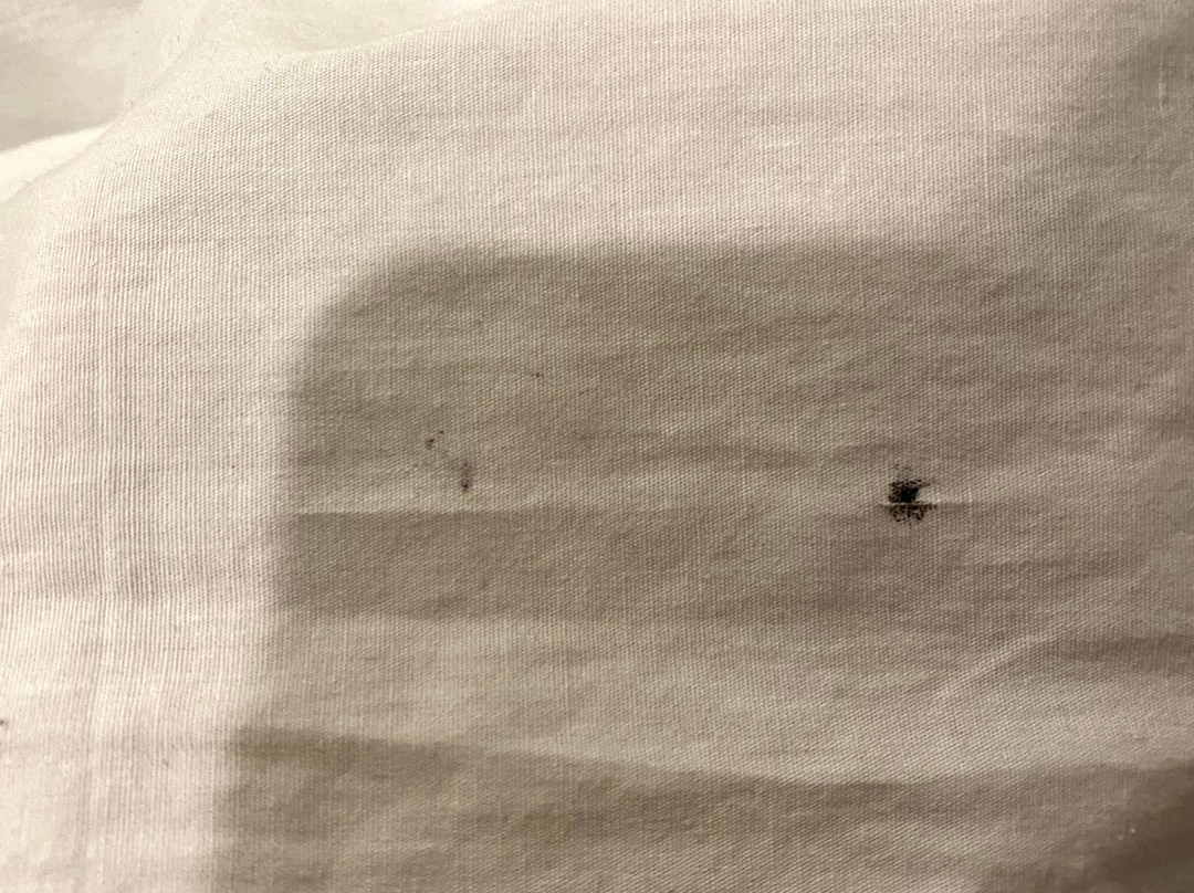 WaterWalk Kansas City - Overland Park主图