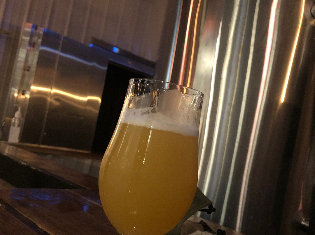 Modicum Brewing Co.景点图片