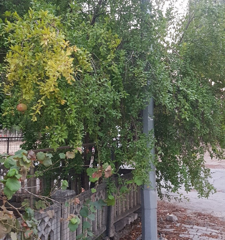 Beydaglari Sahil Milli Parki-凯梅尔必去景点