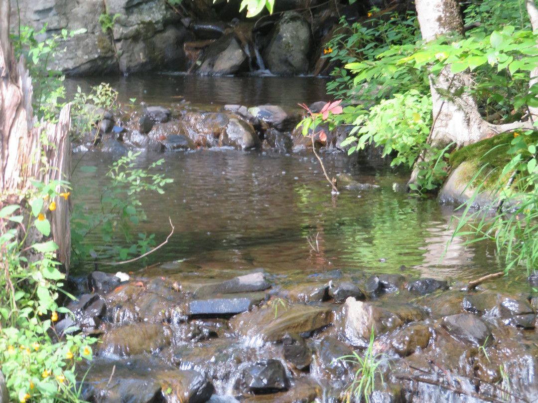 Shubenacadie Canal Waterway景点图片