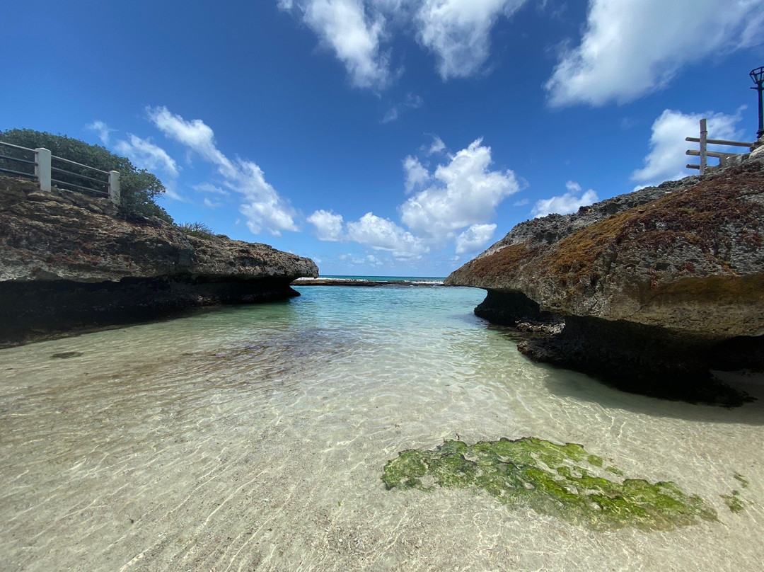Shark Hole-巴巴多斯必去景点