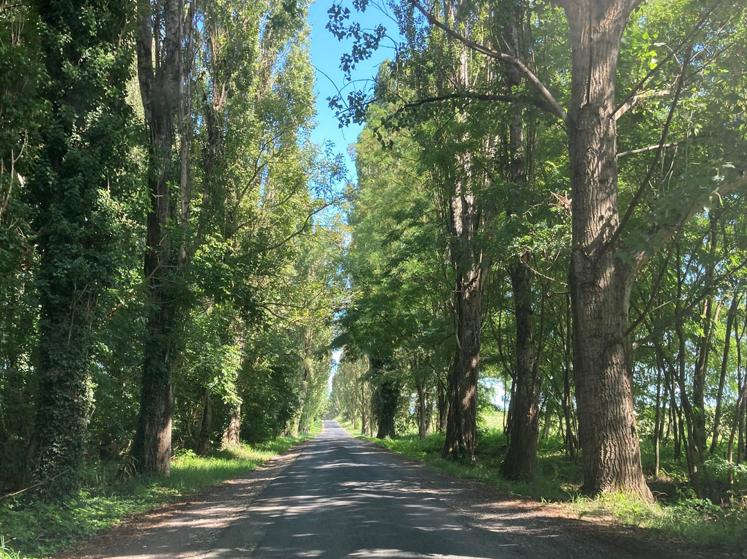 Kányavári Island, "Búbos vöcsók" educational path-Balatonmagyaród必去景点