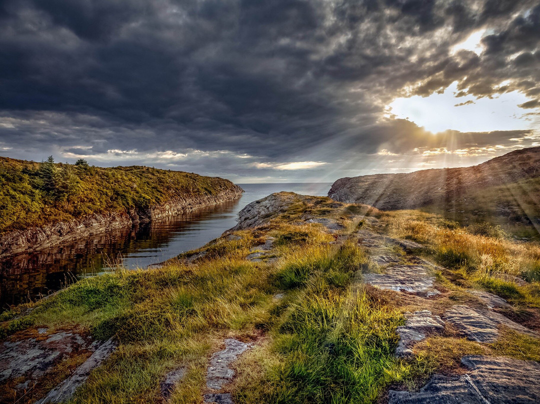 Norway Mountain Guides景点图片