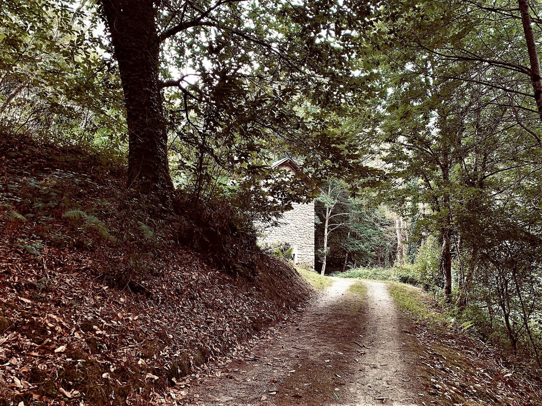 Chapelle Saint Martin de Genouillas-Saint-Symphorien-sur-Coise必去景点