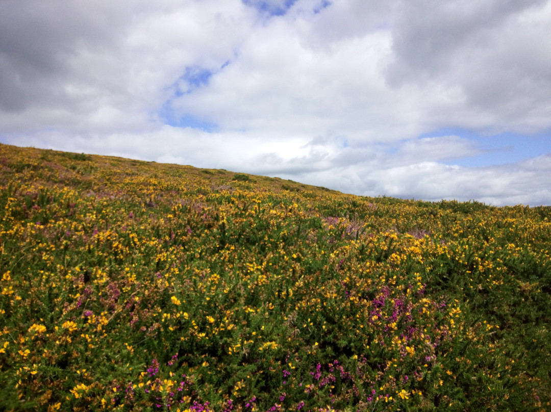 The Two Moors Way景点图片