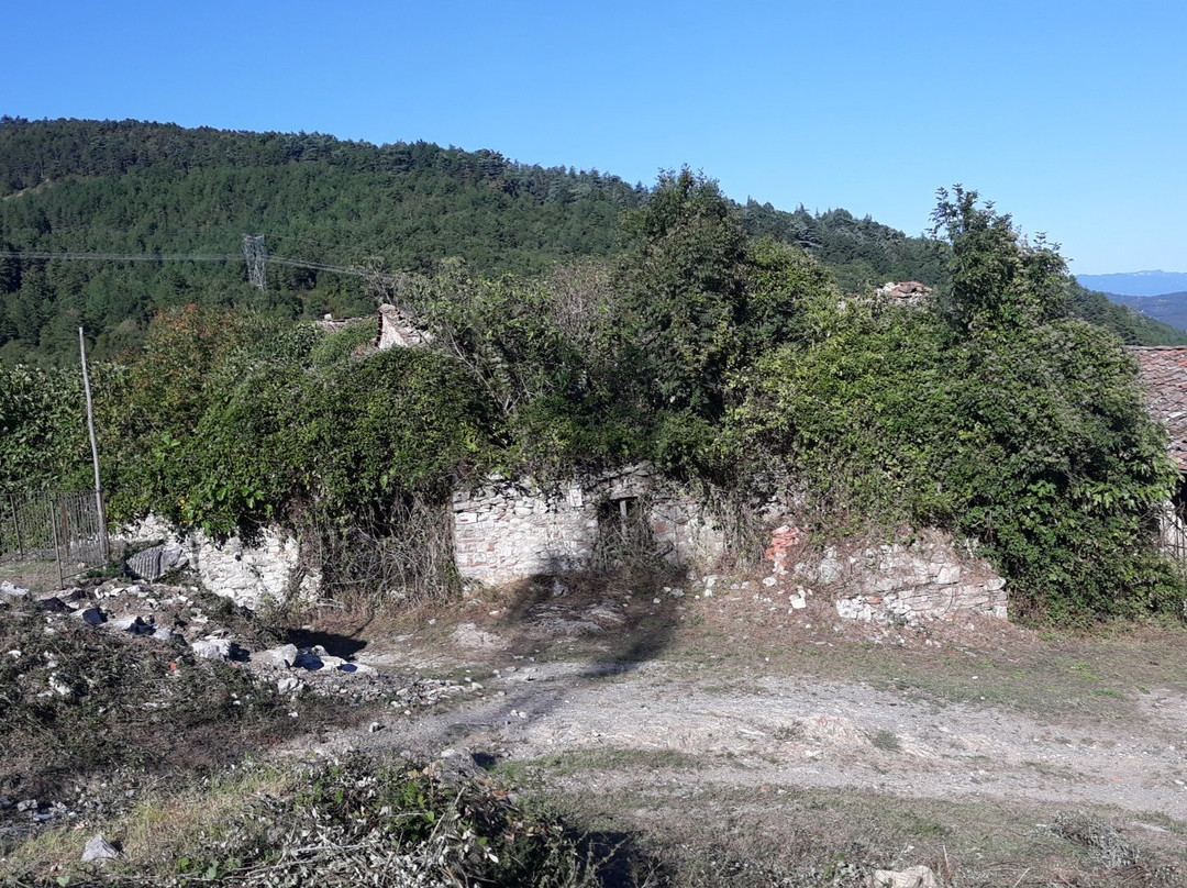Monti della Calvana景点图片