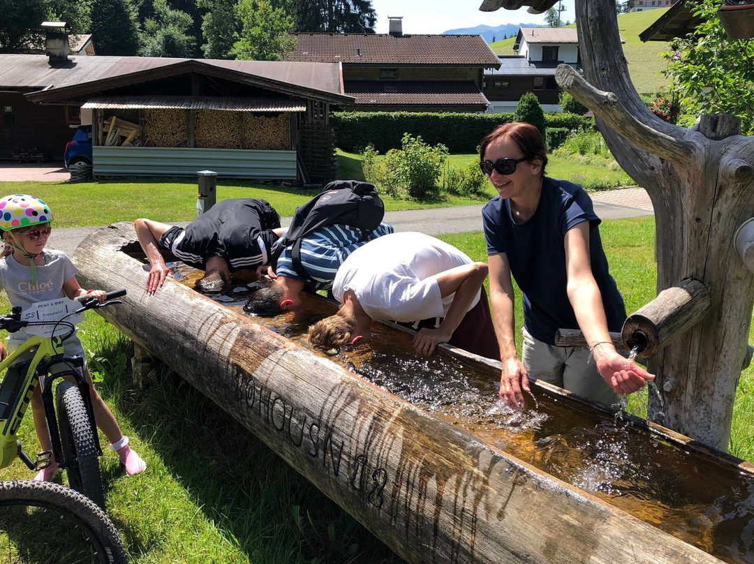 Bike Nature-圣约翰堤候必去景点