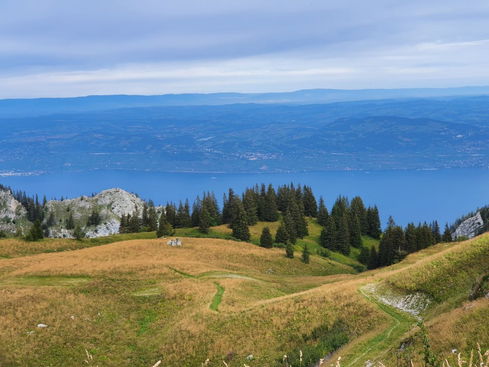 Novel旅游攻略图片