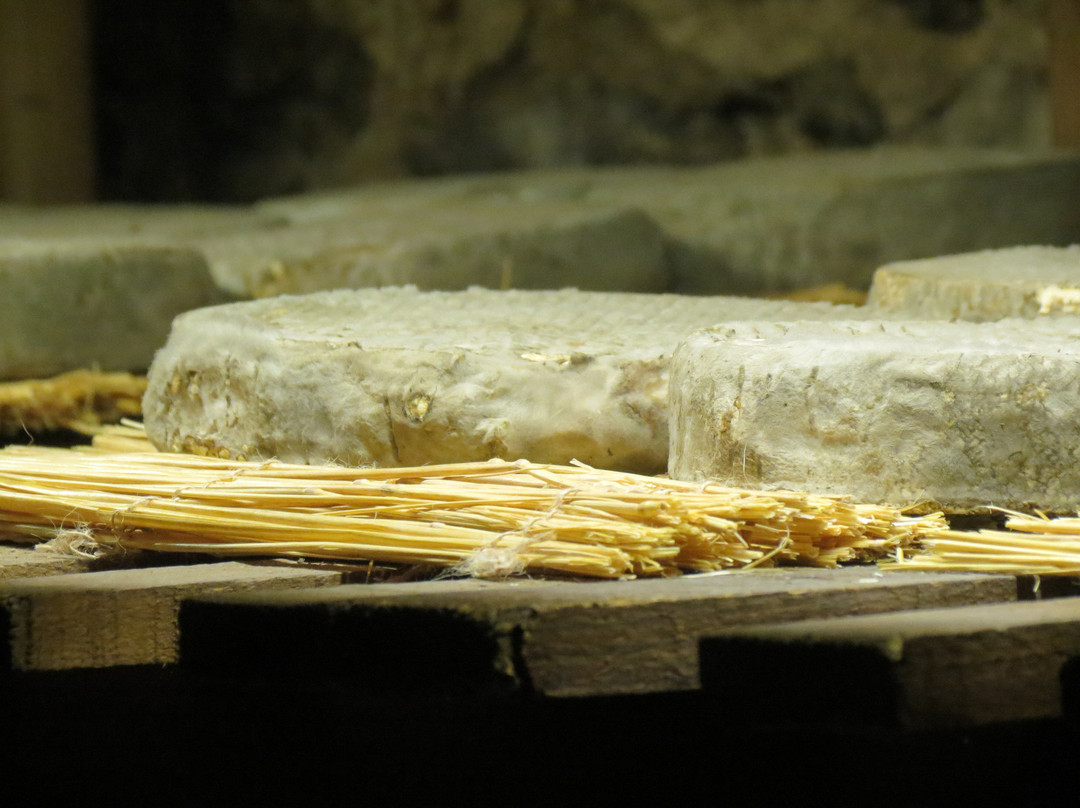 La Maison du Fromage景点图片
