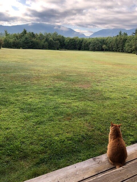 Franconia Notch Guest House主图