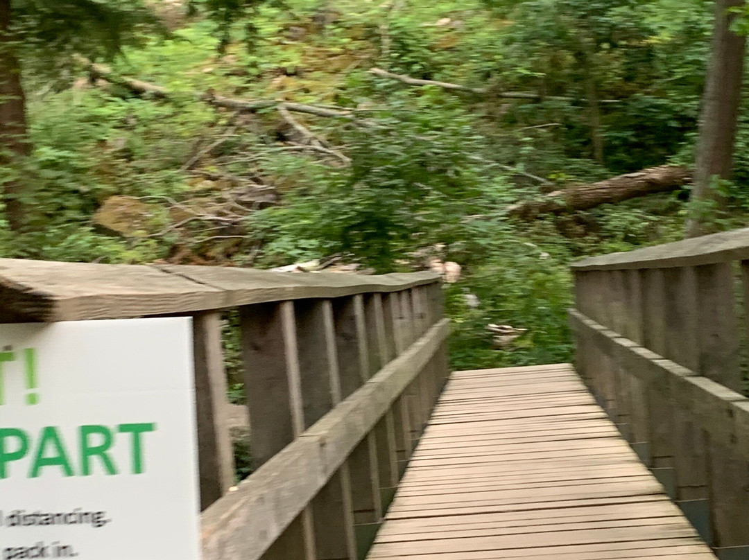 Tiffany Falls Conservation Area-安卡斯特必去景点