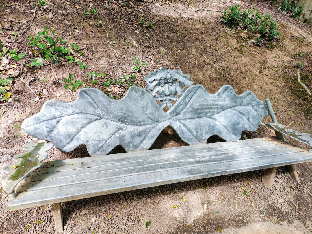 Saltburn Valley Gardens景点图片