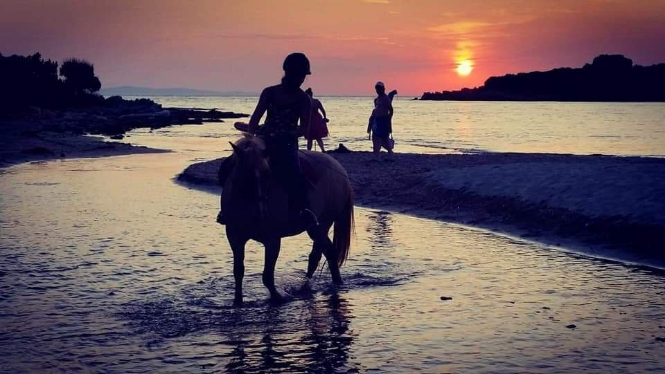 Horse Riding Alonaki-Valanidorrachi必去景点