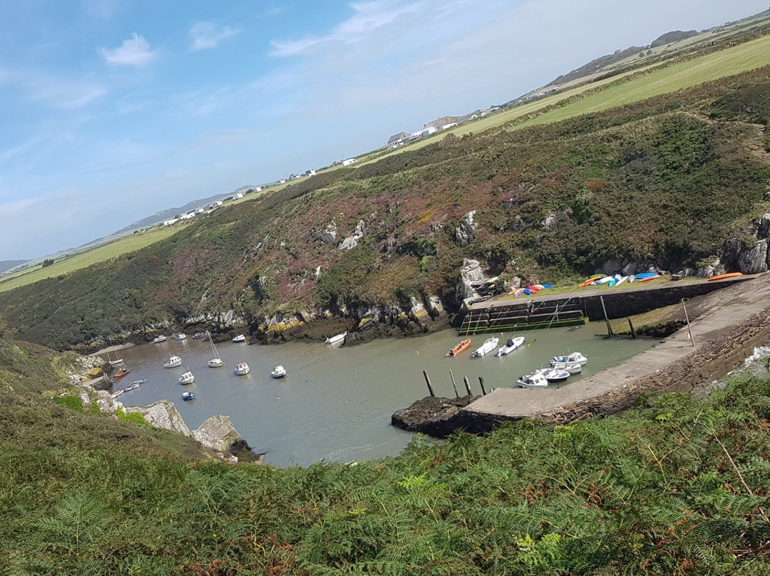 Porth Clais Harbour景点图片