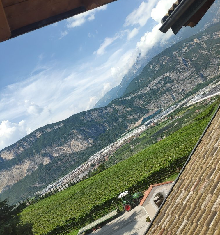 Cantine Moser景点图片