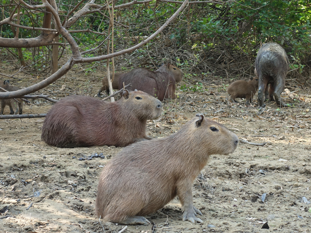 Sunset Travel-Rurrenabaque必去景点