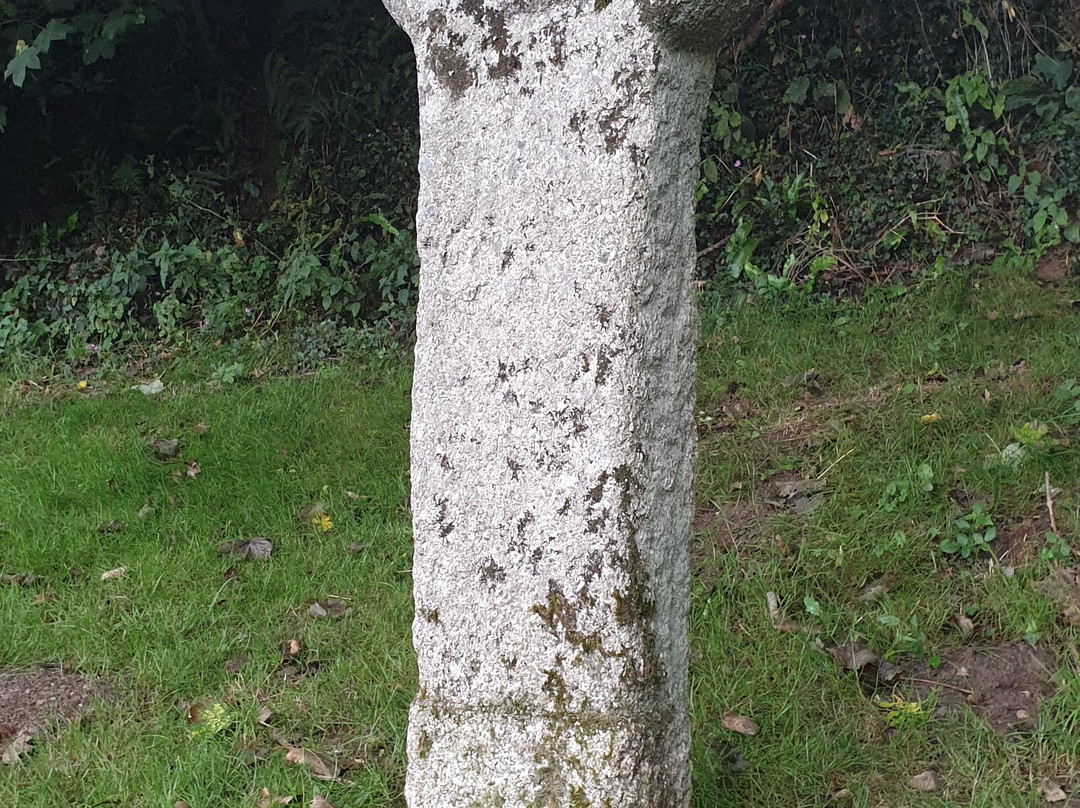 Blisland to Lavethan Wood Circular Walk景点图片