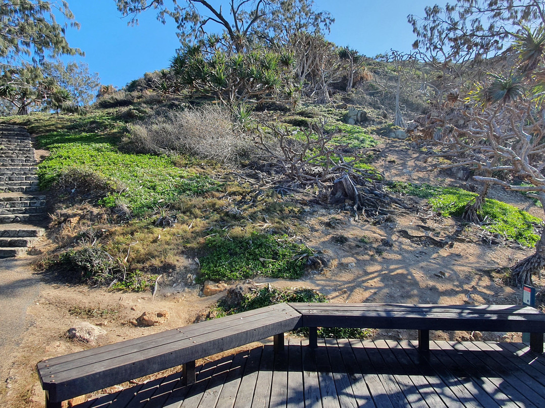Wave Lookout-1770镇必去景点