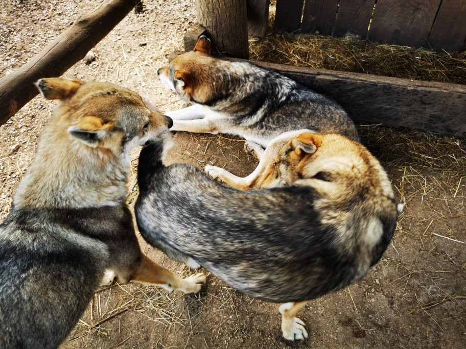 Parc Animalier du Herisson-Menetrux-en-Joux必去景点
