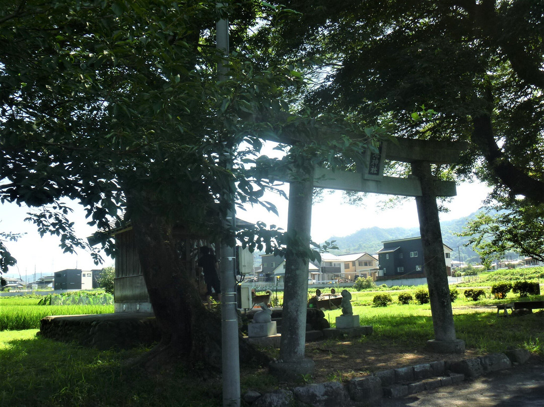 Fukumoto White Rabbit Shrine景点图片