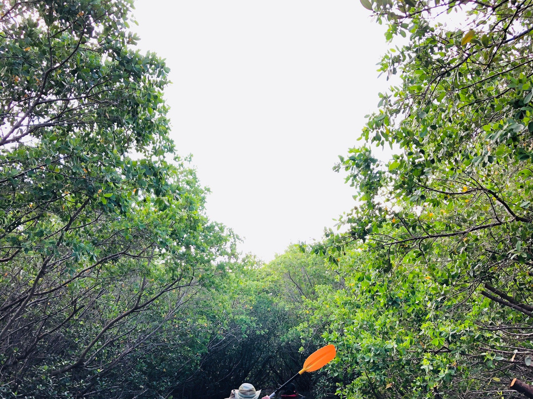 Clam Bayou Nature Park-Gulfport必去景点