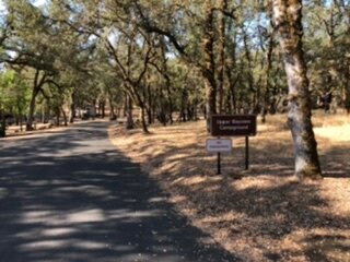 Clear Lake State Park景点图片