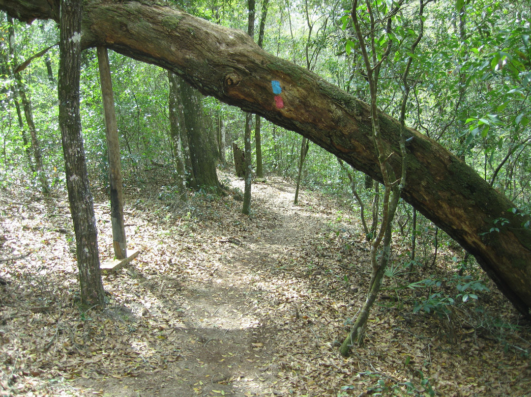 Jennings State Forest-Middleburg必去景点