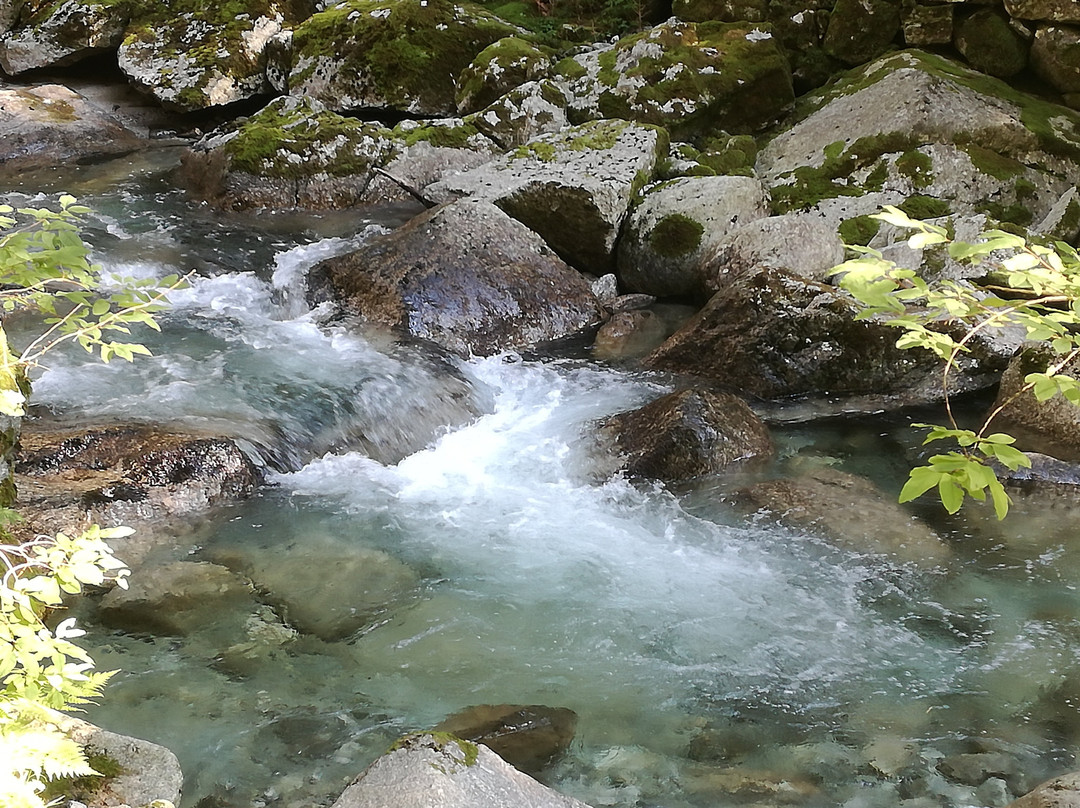 Foresta Bagni Masino景点图片