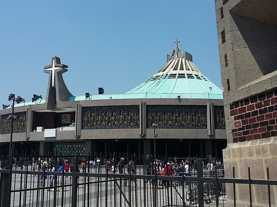 Basilica De Guadalupe景点图片