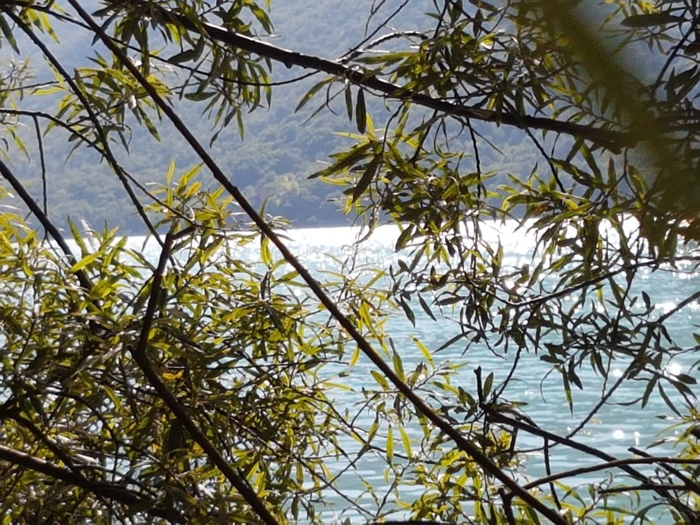 Lago Morto景点图片