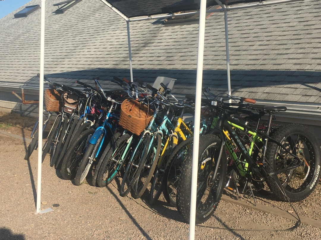 Beach Rose Bicycles-新肖勒姆必去景点