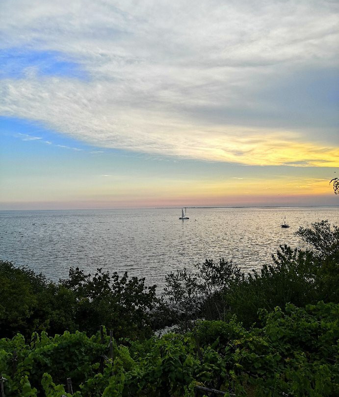 Spiaggia Canovella de' Zoppoli景点图片